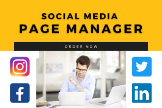 be your facebook and instagram community manager
