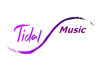 do viral tidal music promotion to bring more music audience to your music