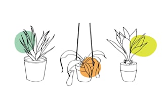 draw continuous line art of your favorite plant