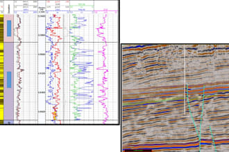 interpret seismic and well logs
