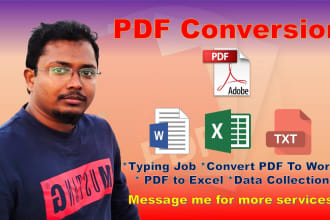 do manually typing job, convert pdf to word, pdf to excel and data collection