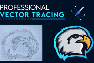vectorize and redesign your logo, sketch, or image