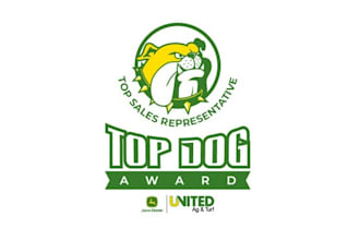 create beautiful company award logo for your business