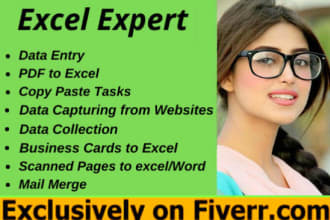 do excel data entry, copy paste, convert PDF, copy paste