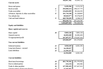do balance sheet, profit and loss and financial statements