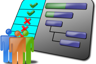 organize as project manager including gantt chart and asana