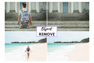 remove any object or person from your photo