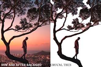 do background removal or object removal
