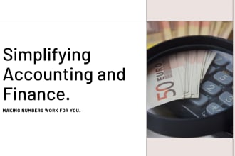do financial accounting, budgeting, forecasting, financial statements