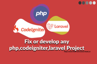 quickly fix or develop a codeigniter laravel, PHP project