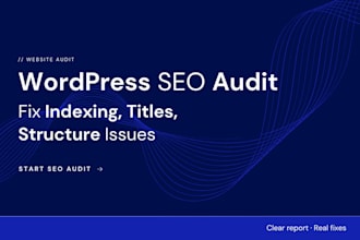audit and optimize your wordpress website SEO and performance