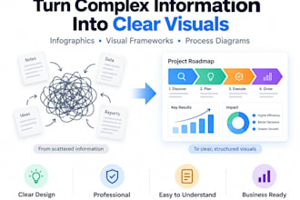 design professional business infographics and visual frameworks