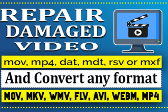 repair damage and convert mov, mkv, wmv, flv, avi, webm, mp4
