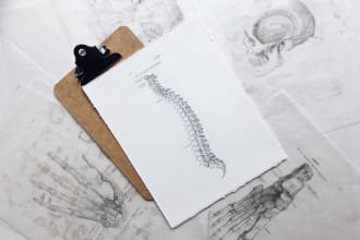 be your anatomy, physiology and pathology tutor