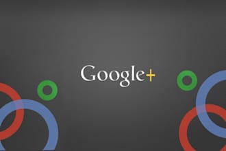 give you 200 google plus votes orlikes