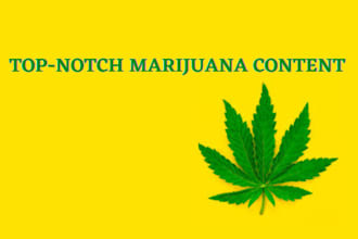 write top notch content on marijuana or cannabis