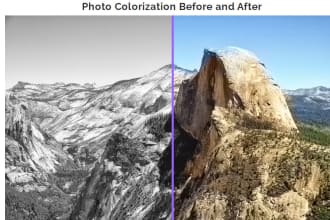 colorize black and white photo
