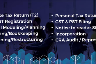 provide canadian accounting, tax filing, gst services