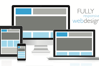 fix css and responsive issue of your website