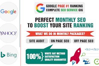 do complete monthly SEO service for your website