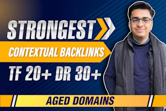 strongest premium high authority contextual backlinks