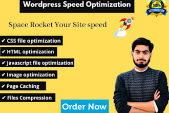 create and develop optimized wordpress site