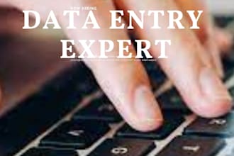 be your data entry expert