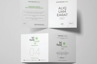 design amazing commercial brochure, catalog, company profile
