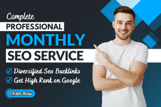 provide monthly off page seo service by high quality backlinks
