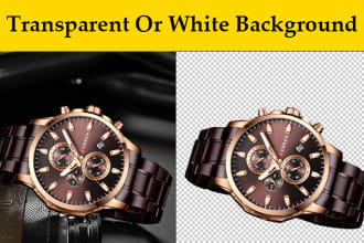 transparent background or cut out image