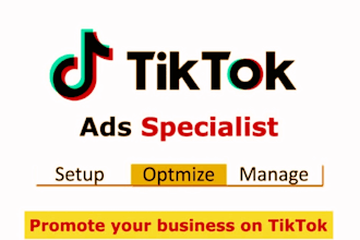 create tik tok video ads campaign for your business