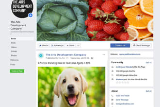 design creative social media posts