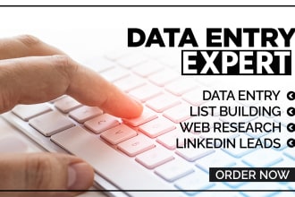 do data entry typing work job, excel data entry, data entry and web research