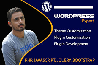 do plugin and theme customization, web development