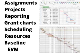 do project management tasks on construction projects