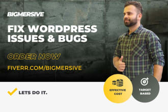 fix wordpress, issues, bugs, PHP errors, CSS help