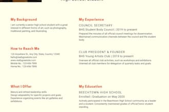 provide you a professional  resume, cv writing services