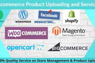 do wordpress data entry, product upload any ecommerce store