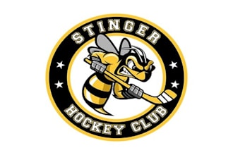 design stingers logo in 1 day