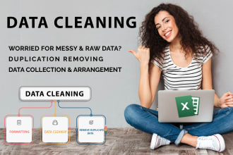 do ms excel or CSV data cleaning, formatting, organize, remove duplicate data