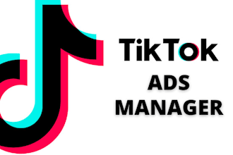 run and manage tiktok ad campaigns to promote your business