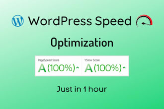 do wordpress speed optimization within 1 hour