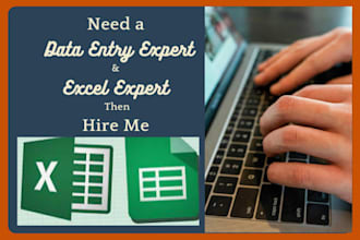 do data entry VA, copy paste, and excel tasks in 24 hours