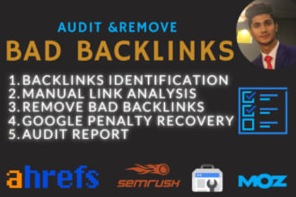 do backlinks audit, remove toxic spam links , google penalty recovery