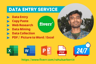 do perfect data entry,copy paste,data mining,web research