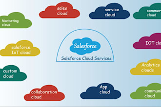 be your salesforce  developer, consultant and administrator