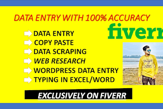 do professional data entry services accurate and fast