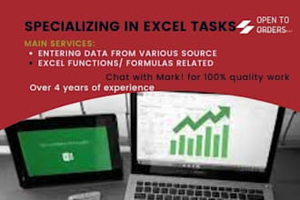 do your excel data entry and web research professionally
