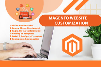 do any tasks, and fix any issues on the magento online store