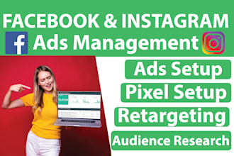 manage optimize facebook ads campaign fb marketing retargeting